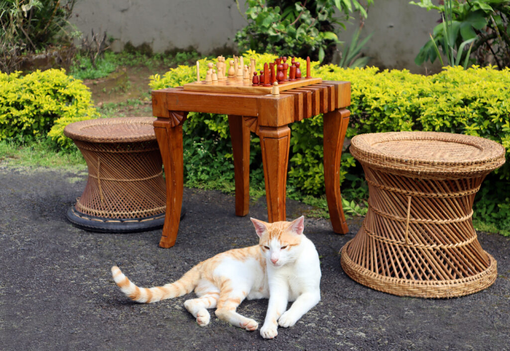 Khasi Chess Set displayed at London